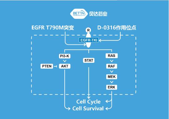 QQ截圖20181228140542.jpg