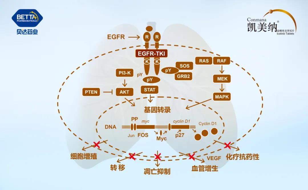 微信圖片_20210720110314.jpg