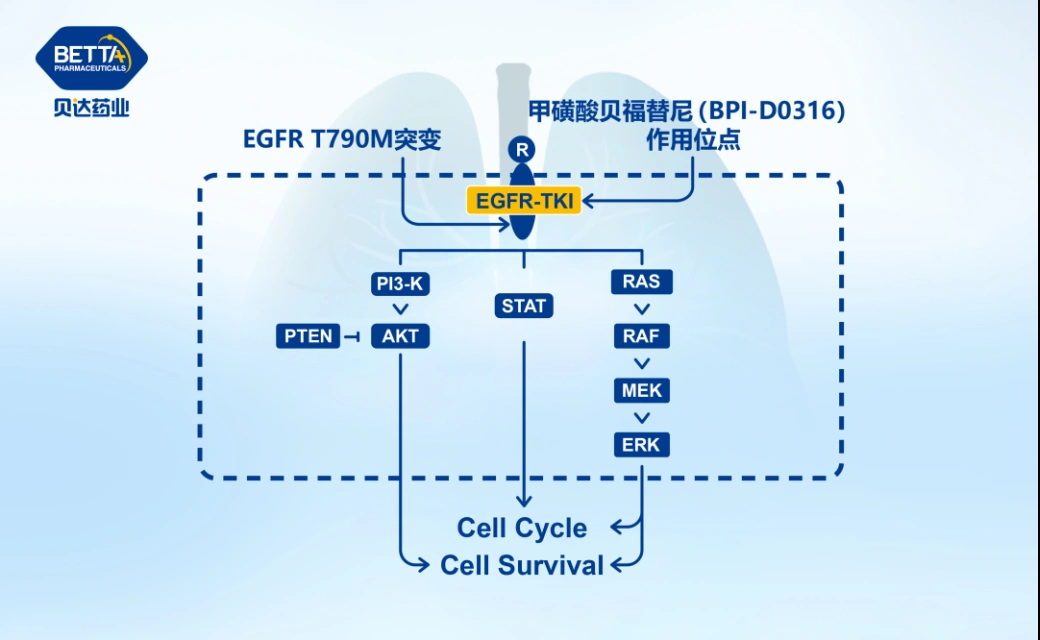 微信圖片_20221118131555.bmp