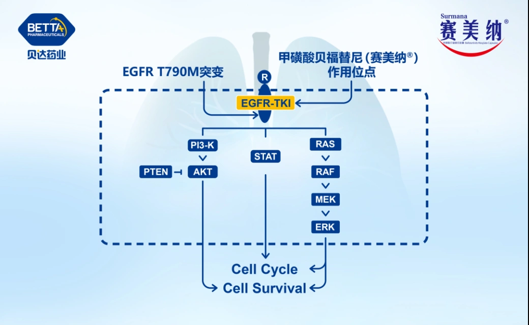 微信圖片_20230130140101.bmp