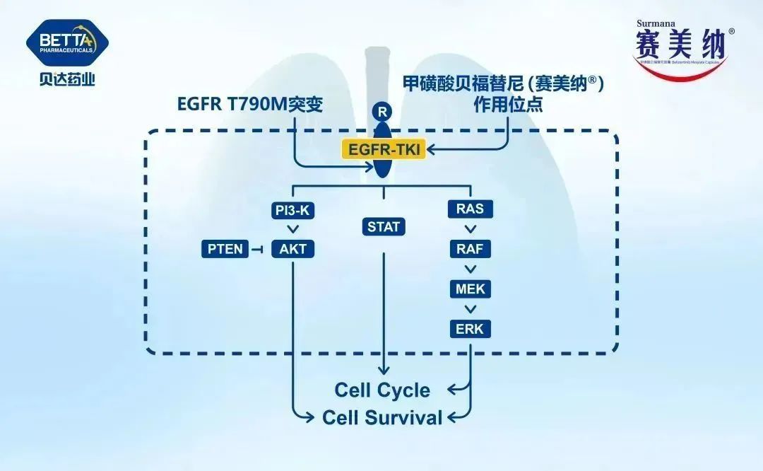 微信圖片_20230201091308.jpg