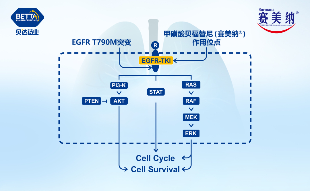 微信圖片_20230525150221.jpg